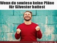 Keine Plaene fuer Sylvester