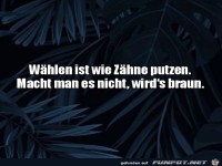 W�hlen ist wie Z�hne putzen