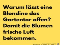 Gartentor offen lassen