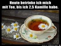 Bis zu 2,5 Kamille