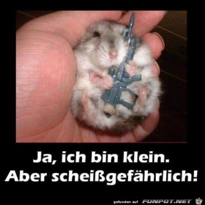 Saugef&auml;hrlich.jpg von Rebeca