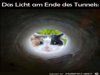 Licht am Ende des Tunnels