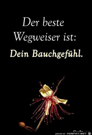 Der-beste-Wegweiser.jpg auf www.funpot.net