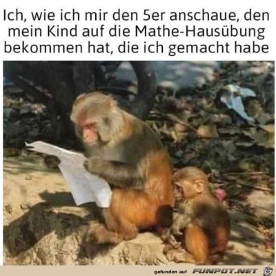 Erst-mal-checken.jpg von Runa