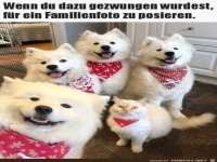 Bl�des Fotoshooting