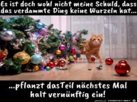 Ist doch nicht meine Schuld