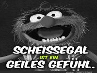 Scheißegal ist ein geiles Gefühl