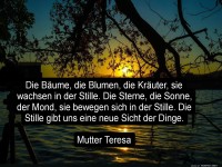die bume, die blumen