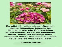 es gibt fr alles einen grund