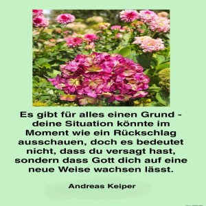 es-gibt-fr-alles-einen-grund.jpg von Fabioma