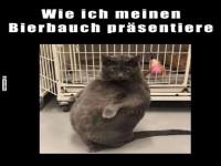 Guck mal mein Bierbauch