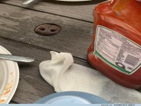 Grumpy Table Resident entdeckt!