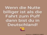 Sparfuchs in Deutschland: Ein echtes Dilemma