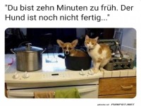 Du bist zu fr�h zum Essen