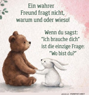 Ein-B�r-und-ein-Hase-besprechen-Wichtiges.jpg auf www.funpot.net