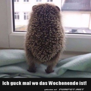 Ich-guck-mal.jpg von Mareike-21
