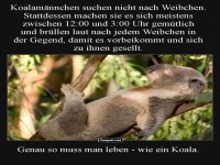 Abwaschen oder sp�len?