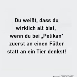 Pelikan:-F�ller-oder-Vogel?.jpg von Erwin32
