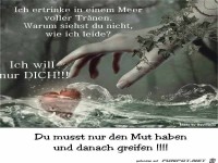 ich will nur DICH