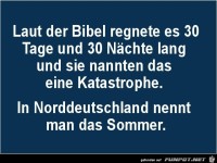 man nennt es Sommer......