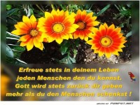 Erfreue in deinem Leben 1