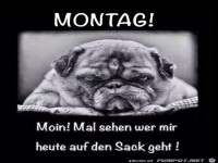 Montag