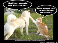 Spaeter werde ich Politiker