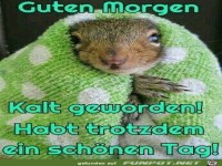 Guten Morgen