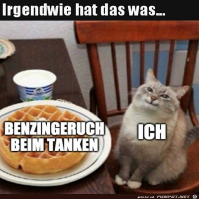 Riecht-gut-hier.jpg von Finn