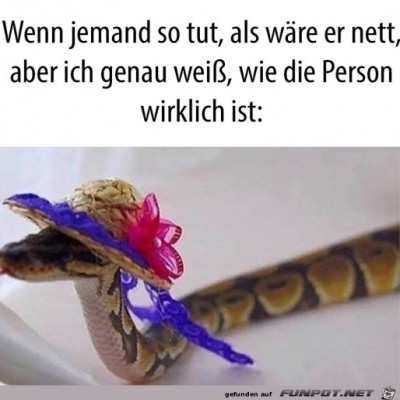 Falsche-Schlange.jpg von Clara