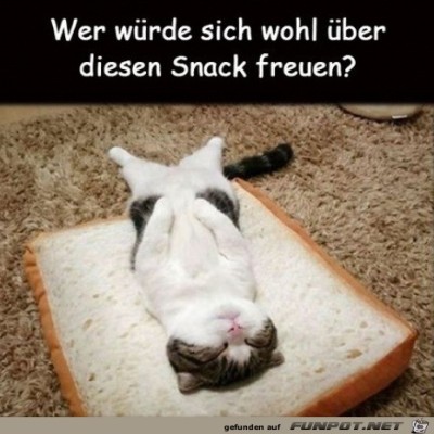 Toller-Snack.jpg von Lasse