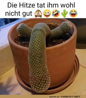 War-ihm-wohl-zu-warm.jpg auf www.funpot.net