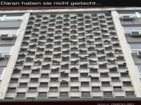 Taubenschwarm auf Geb�ude