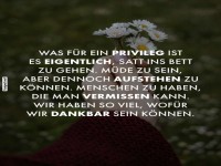 Dankbarkeit und das Privileg des Lebens