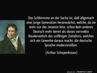 Schopenhauer's Sprach-Chaos-Klage