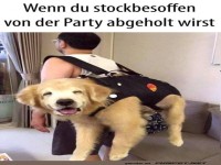 Ich schw�re, ich kann noch laufen!