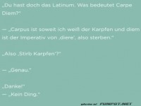 Lateinunterricht wird fischig