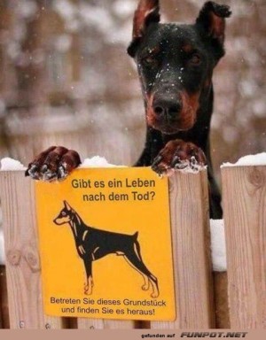finde-es-raus.jpg auf www.funpot.net