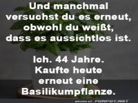 Basilikum: Der gr�ne Lebensmut