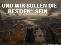 Wer ist hier die Bestie?