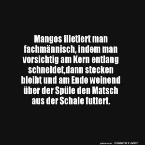 Mangofrust-pur!.jpg von SexOnTheBeach