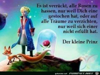 der kleine Prinz