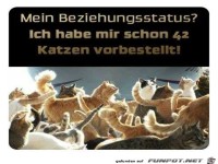 Mein Beziehungsstatus