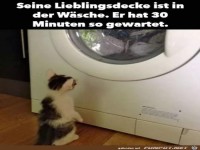 seine Lieblingsdecke...