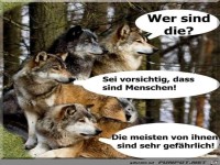 Da haben sie leider recht