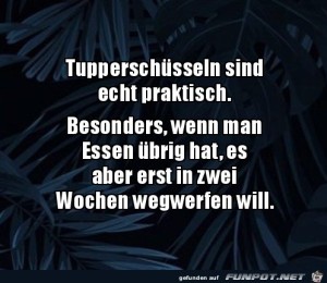 Tupperschsseln-sind-echt-praktisch.jpg auf www.funpot.net