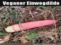 Einweg-Dildo