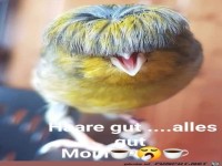 Ich hab die Haare schoen