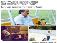 Endlich ein freier Tag