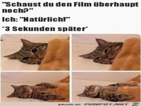 Guckst den Film �berhaupt noch?